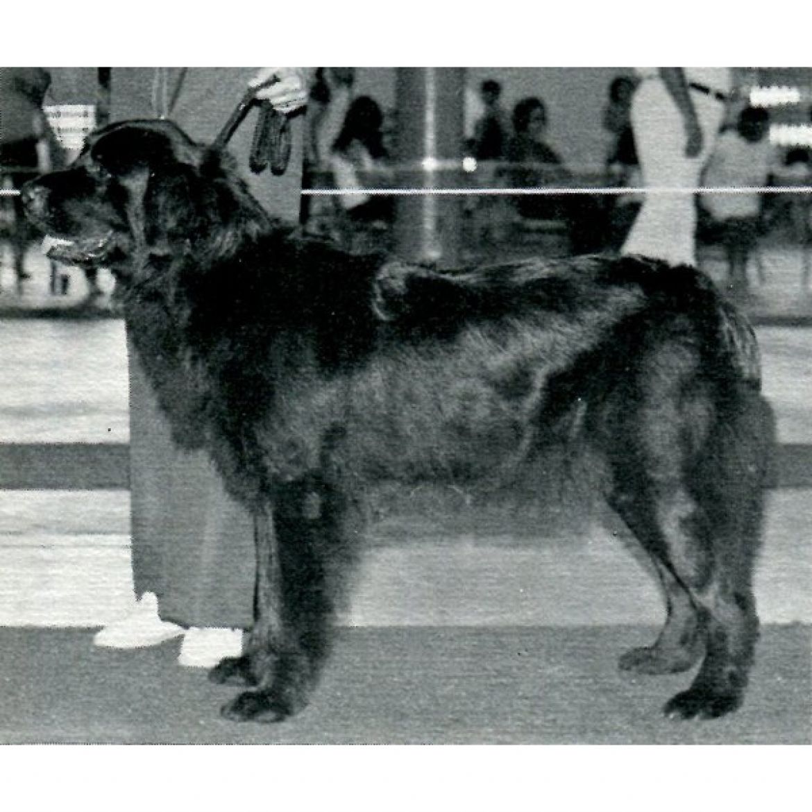 T Kuuipo O'Aukai of Pouch Cove (08-09-1972)